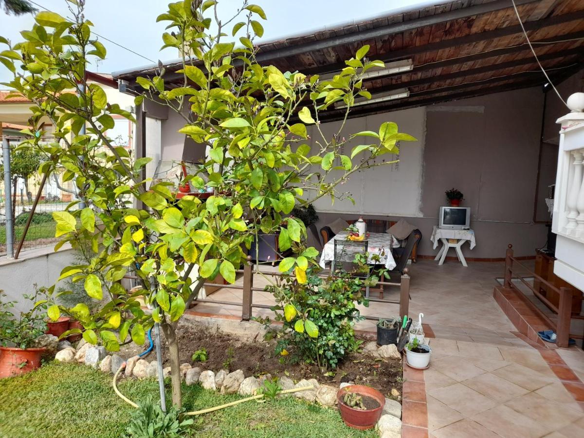 Villa Vangelis เนอาปลายา ภายนอก รูปภาพ